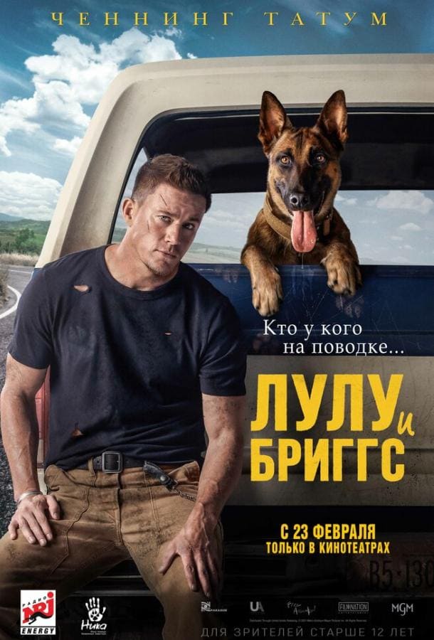 Постер: Лулу и Бриггс