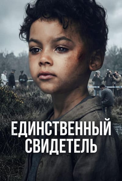 Постер: Единственный свидетель