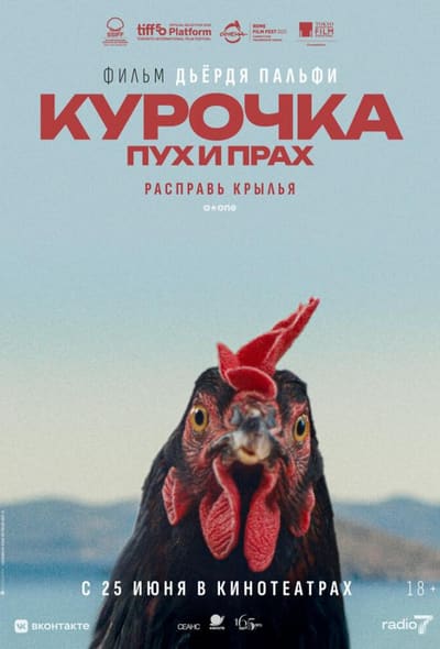 Постер: Курочка. Пух и прах