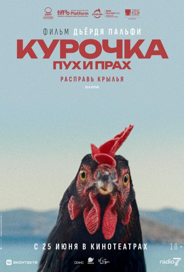 Постер: Курочка. Пух и прах