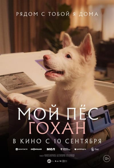 Постер: Мой пёс Гохан