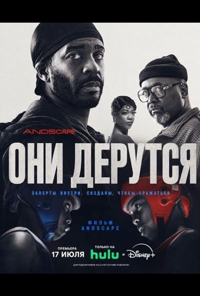 Постер: Они дерутся